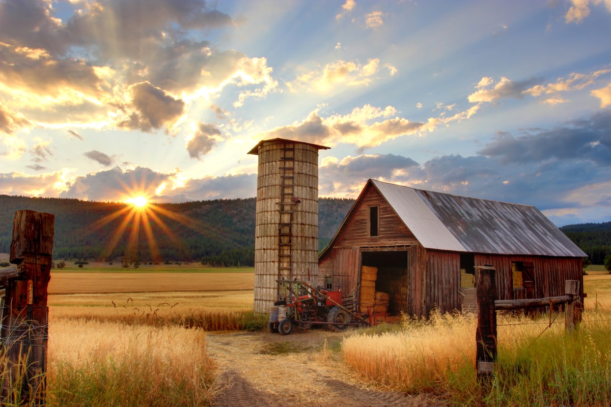 Australian farm property with barn at sunset